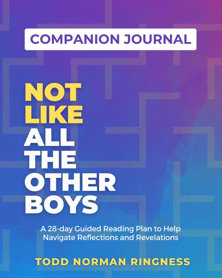 not like all the other boys by todd norman ringness companion journal