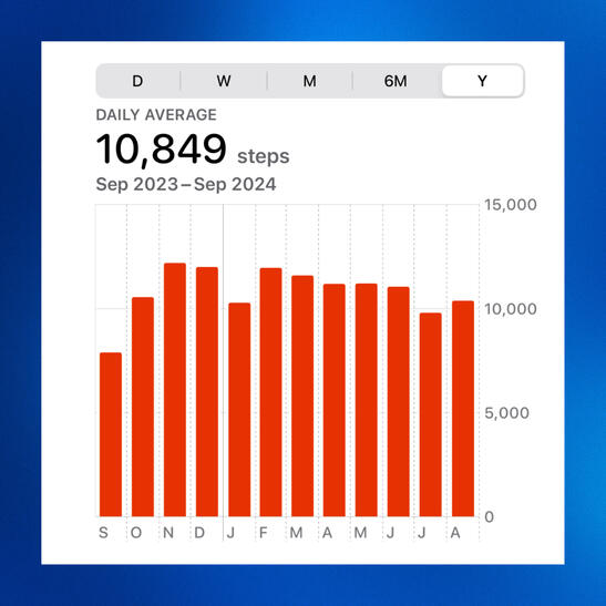 todd norman ringness author and certified coach