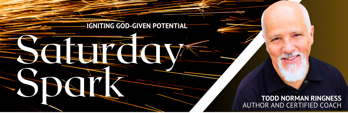 saturday spark newsletter - by todd norman ringness