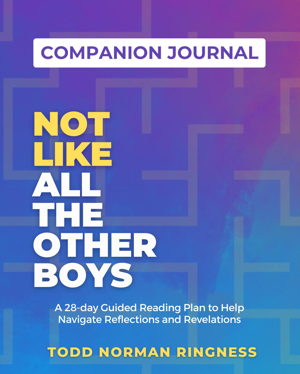 Not Like All the Other Boys by Todd Norman Ringness - Companion Journal